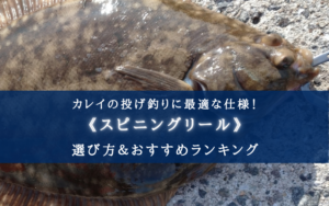 【2025年】カレイ 投げ釣り特化型リールおすすめ17選【初心者でも安心！】