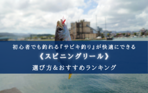 【2025年】コスパ最強！サビキ釣り用リール おすすめ20選【初心者でも使いやすい番手！】