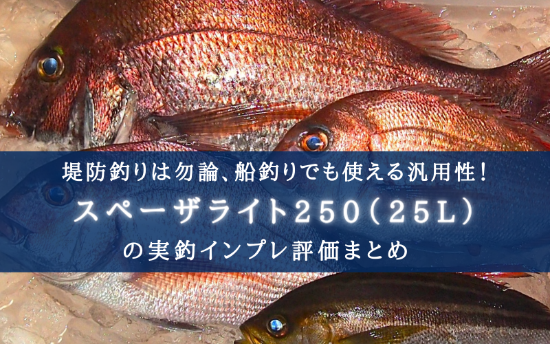 【"超"丁度良い！】シマノ スペーザライト250の実釣インプレ【キャスター付きが鬼便利】