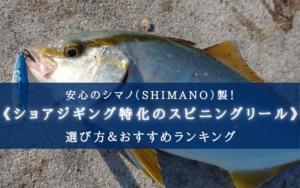 【2025年】シマノのショアジギングリール おすすめ17選【初心者~上級者まで！】