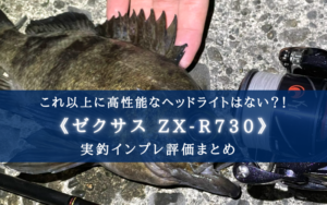 最高級モデル！】ゼクサス ZX-R730の実釣インプレ【これ以上は
