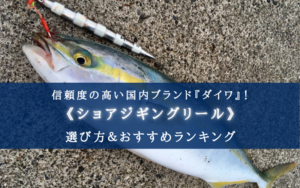 【2025年】ダイワのショアジギングリールの選び方&おすすめ14選【コスパ最強!】