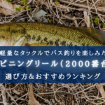 【2025年】2000番台のバス用スピニングリールおすすめ15選【メリット・デメリットも!】