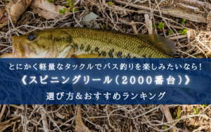 【2025年】2000番台のバス用スピニングリールおすすめ15選【メリット・デメリットも！】