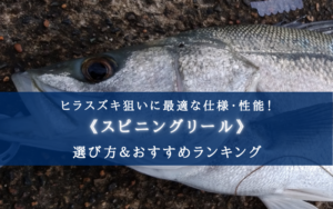 【2025年】ヒラスズキ狙いのスピニングリールおすすめ18選【コスパ最強・SWモデルも！】