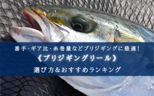 【2025年】ブリジギング特化型リール おすすめ14選【コスパ最強！安心の番手・ドラグ力！】