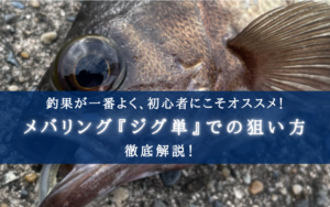 【メバリングの基本！】ジグ単での狙い方について徹底解説！【初心者は絶対ジグ単】