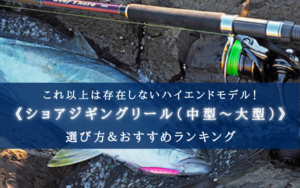 【2025年】上級者向けのショアジギングリールおすすめ13選【コスパ度外視の最強スペック！】
