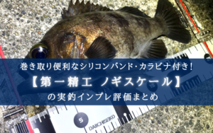 【超必要十分!】第一精工 ノギスケールの実釣インプレ評価【選べる長さ65㎝/125㎝!】