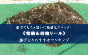 【2025年】ヒラメの船釣り用リールおすすめ14選【コスパ重視！電動・手巻きについても解説！】