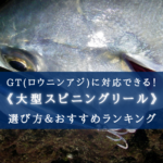 【2024年】GT(ロウニンアジ)特化リール おすすめ7選【ステラ以外も!】