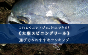【2024年】GT（ロウニンアジ）特化リール おすすめ7選【ステラ以外も！】