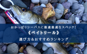 【2025年】シーバスのベイトリールおすすめ20選【コスパ最強＆飛距離も伸ばせる！】