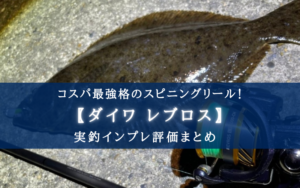 『ダイワ-レブロス』インプレ