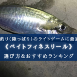 【2025年】海釣り(ソルト)対応ベイトフィネスリールおすすめ14選【コスパ最強！】