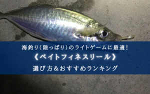 【2025年】海釣り(ソルト)対応ベイトフィネスリールおすすめ14選【コスパ最強!】