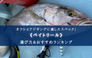 【2024年】オフショアジギング特化のベイトリールおすすめ14選【コスパ最強orとにかく安い】