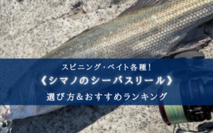 【2024年】シマノのシーバスリール おすすめ15選【スピニング・ベイト各種！】