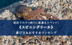 【2025年】堤防タコ釣りのスピニングリールおすすめ13選【安い＆頑丈！】