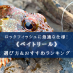 【2024年】ロックフィッシュ特化のベイトリールおすすめ18選&選び方まとめ【コスパ重視!】
