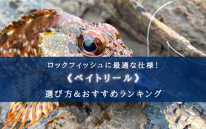 【2024年】ロックフィッシュ特化のベイトリールおすすめ18選＆選び方まとめ【コスパ重視！】