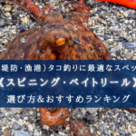 【2024年】コスパ重視!岸タコ釣り用リールおすすめ18選【スピニング・ベイトリール各種!】