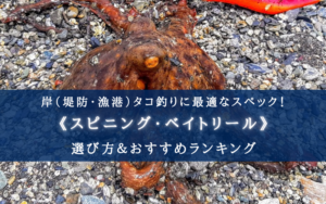 【2024年】コスパ重視!岸タコ釣り用リールおすすめ18選【スピニング・ベイトリール各種!】