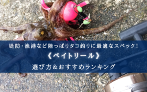 【2024年】陸っぱりタコ釣りのベイトリール おすすめ12選【堤防・漁港に最適!】