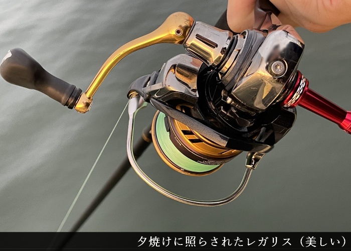 コスパ最強！】ダイワ レガリス(LT3000-CXH)の実釣インプレ評価