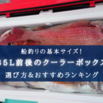 【2024年】35L前後の釣り用クーラーボックス おすすめ15選【コスパ重視!選び方も徹底解説】