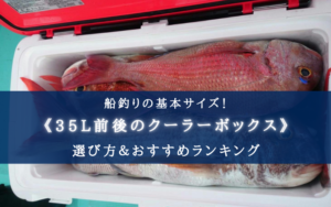 【2024年】35L前後の釣り用クーラーボックス おすすめ15選【コスパ重視！選び方も徹底解説】