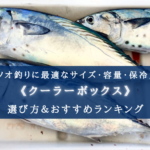 【2024年】カツオ釣りのクーラーボックス おすすめ14選【コスパ重視!選び方も徹底解説】