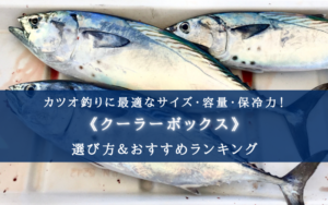 【2024年】カツオ釣りのクーラーボックス おすすめ14選【コスパ重視！選び方も徹底解説】