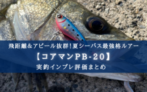 【デイシーバス特攻!】コアマンPB20の実釣インプレ評価【使い方&おすすめカラーも!】