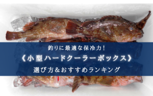 【2024年】釣りの小型ハードクーラーボックス おすすめ20選【コスパ最強!】