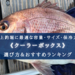 【2024年】海上釣堀のクーラーボックス おすすめ15選【最適な保冷力&サイズ&最強コスパ】