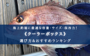 【2024年】海上釣堀のクーラーボックス おすすめ15選【最適な保冷力＆サイズ＆最強コスパ】
