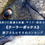 【2025年】筏釣りのクーラーボックス おすすめ11選【コスパ最強!丁度良いサイズ・保冷力】