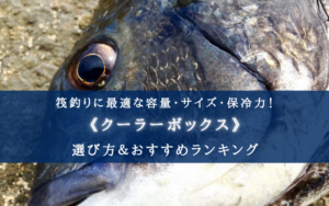【2025年】筏釣りのクーラーボックス おすすめ11選【コスパ最強！丁度良いサイズ・保冷力】