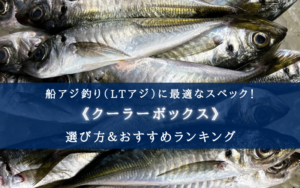 【2025年】船アジ釣り（LTアジ）のクーラーボックス おすすめ15選【コスパ重視！】