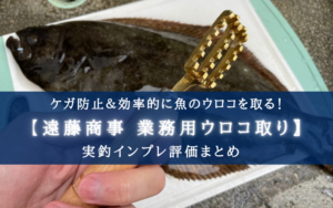【ケガ防止！】遠藤商事のウロコ取りを使ってみた感想【効率的＆コスパ最強！】