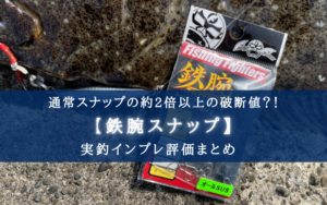 【買う価値なし？】鉄腕スナップの実釣インプレ評価【適正価格ならば買うべし！】