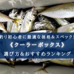 【2024年】釣り初心者のクーラーボックス おすすめ20選【超コスパ重視!堤防・船でも!】