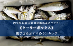 【2024年】釣り初心者のクーラーボックス おすすめ20選【超コスパ重視！堤防・船でも！】