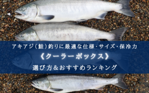 【2024年】アキアジ釣りのクーラーボックス おすすめ15選【コスパ最強！選び方も徹底解説】