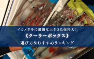 【2024年】イカメタルのクーラーボックス おすすめ17選【コスパ重視！選び方も徹底解説】