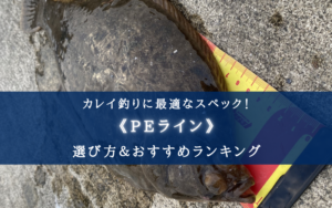 【2024年】カレイ(投げ釣り)のPEラインおすすめランキング20選＆太さ(号数)の選び方