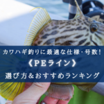 【2024年】カワハギ釣り(船)のPEラインおすすめランキング23選&太さ(号数)の選び方