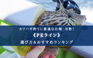 【2024年】カワハギ釣り(船)のPEラインおすすめランキング23選＆太さ(号数)の選び方