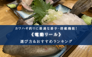 【2024年】カワハギ釣りの電動リールおすすめ9選【コスパ重視ランキング！】